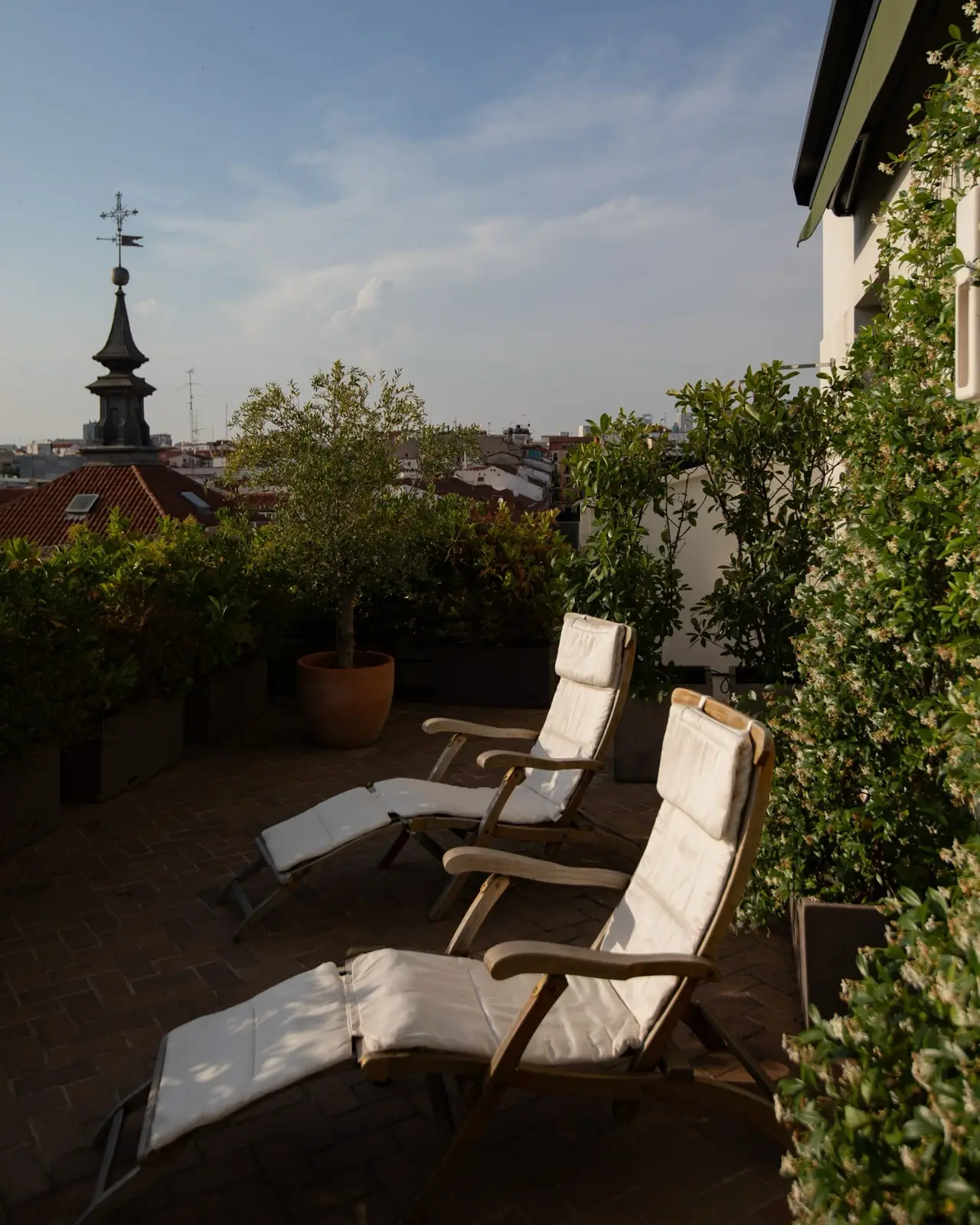 Rooftop terrace with wooden reclining loungers, a potted olive tree and greenery, overlooking Madrid rooftops and a church spire.