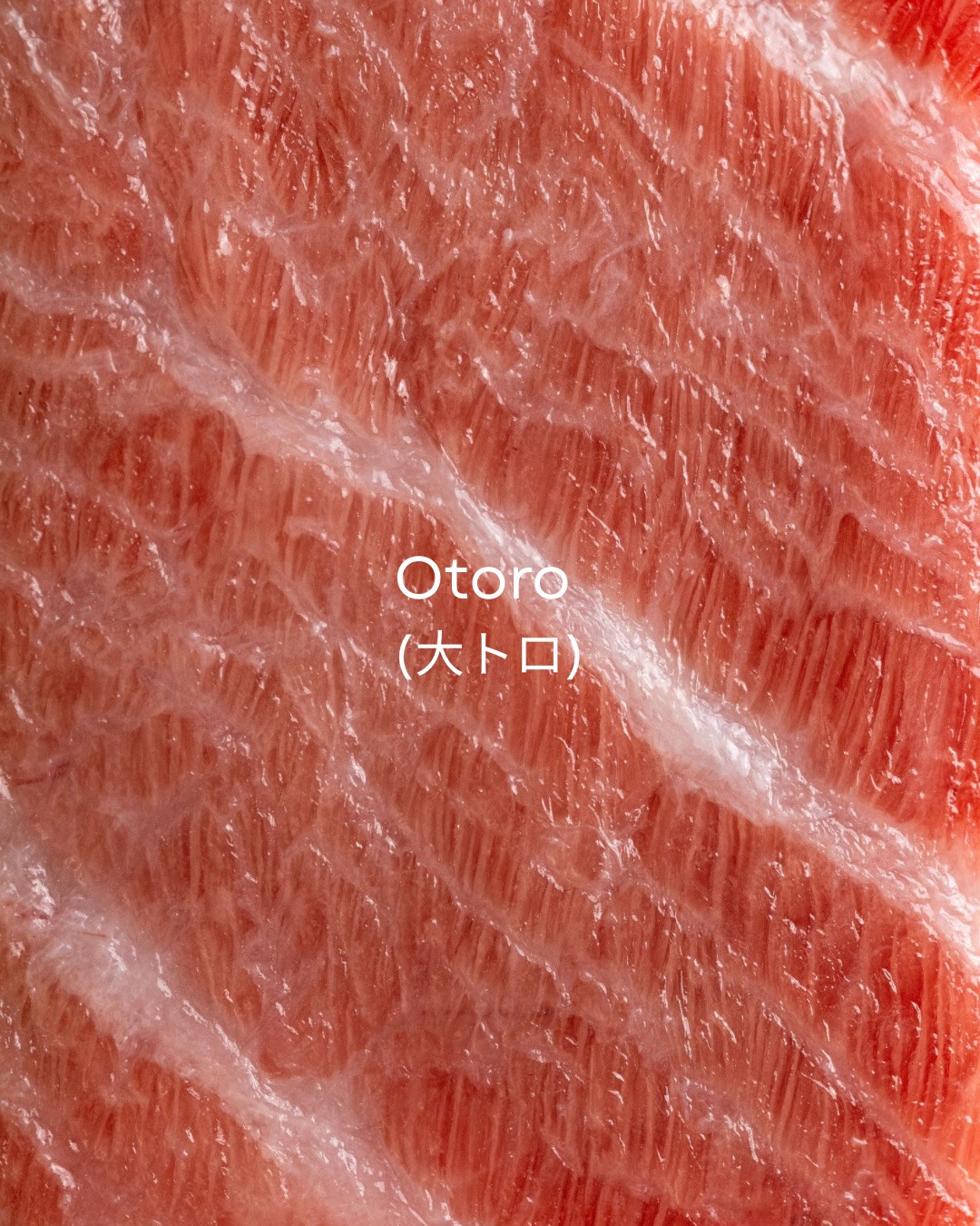Otoro, en su máxima expresión 🐟
De la pureza del corte a algunas de nuestras creaciones más especiales. Un recorrido por