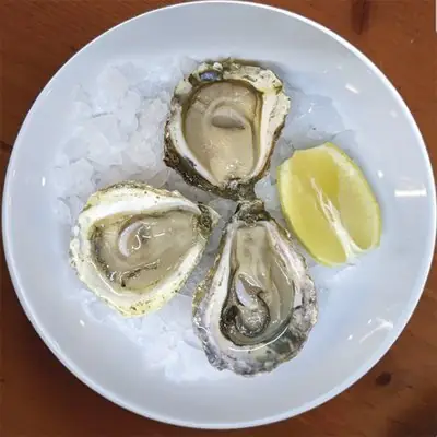 Three fresh oysters on ice with a lemon wedge on a white plate, A Gudiña
