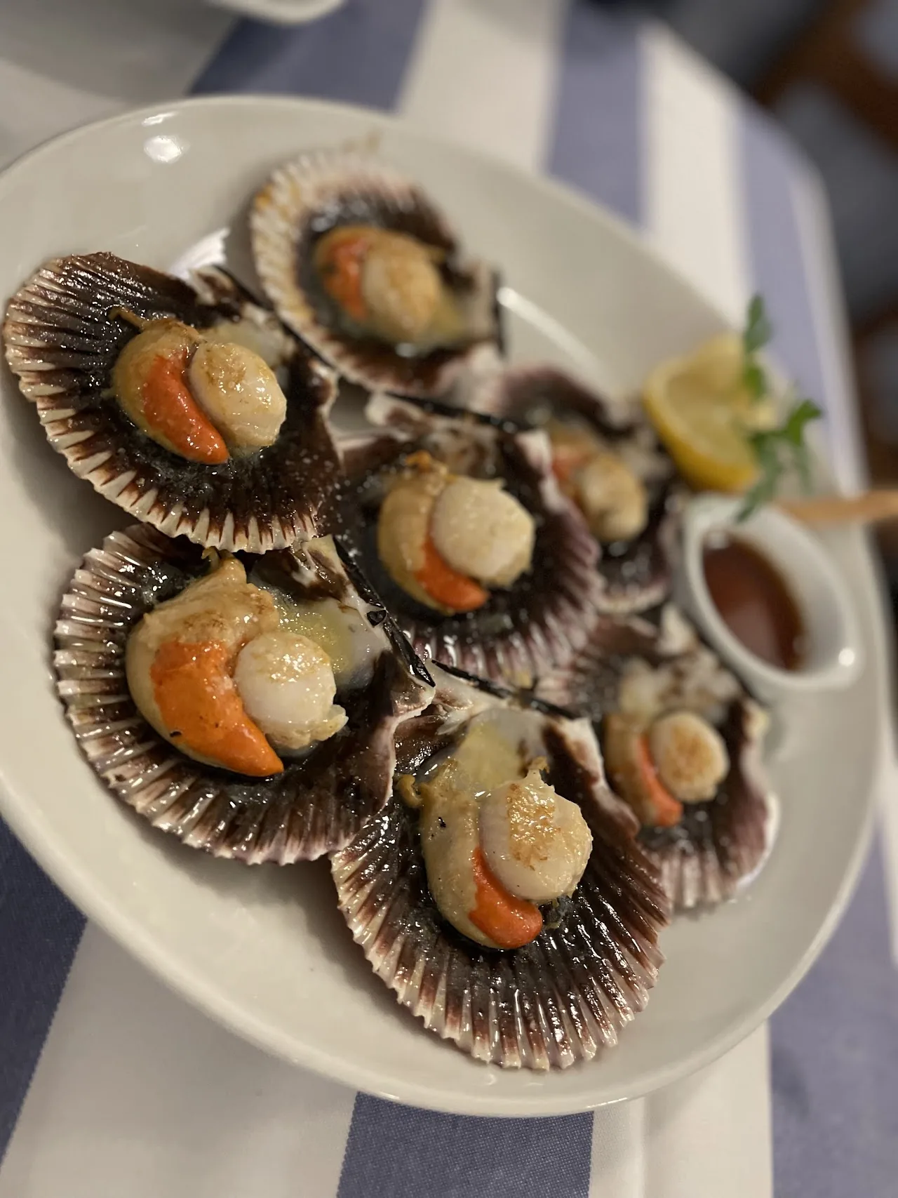 Six grilled scallops on the half shell with lemon
