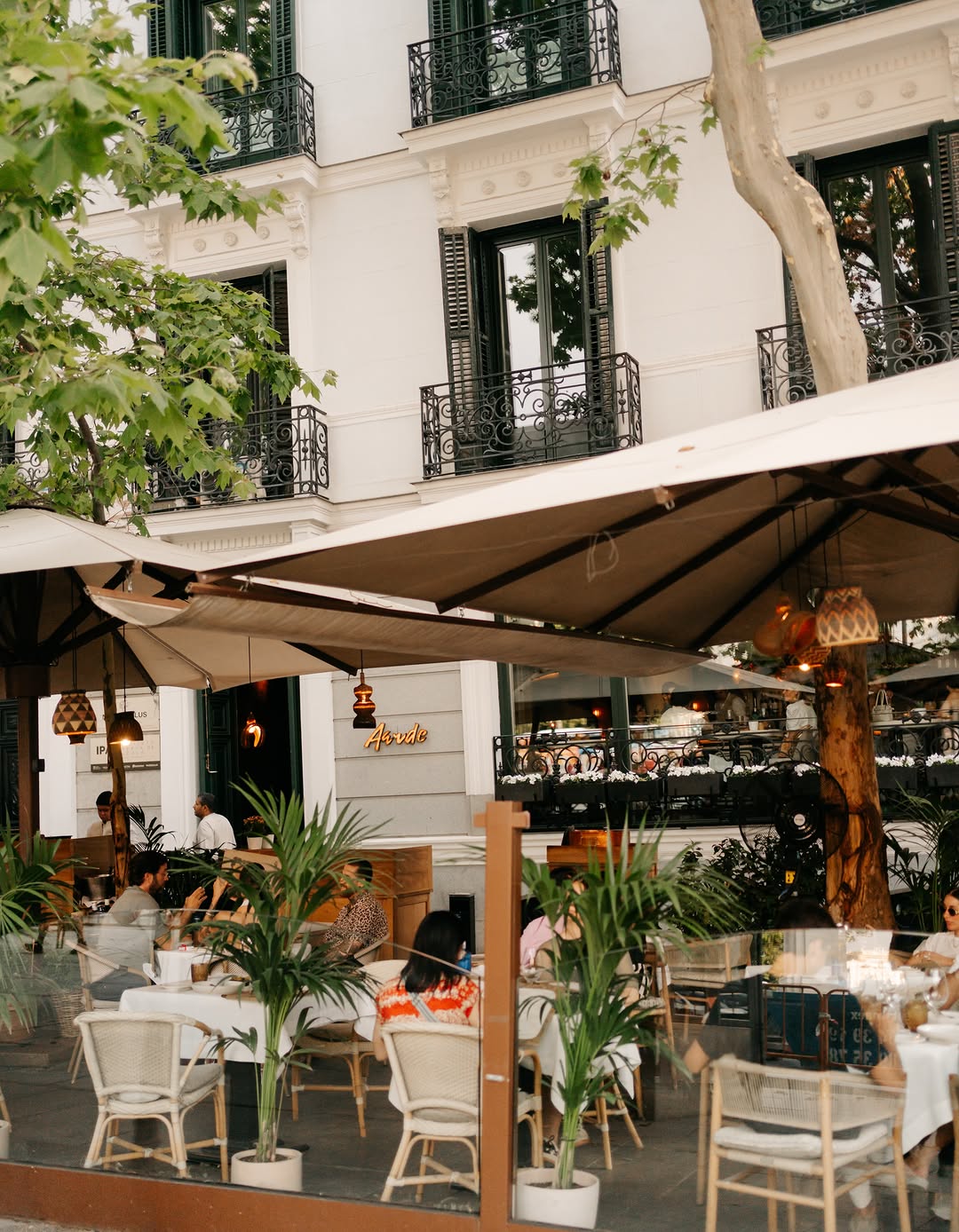 Terraza, cocina de raíces y una tarde que se vive distinta.
Aarde, donde Madrid se reúne.
#Aarde #RestaurantesMadrid