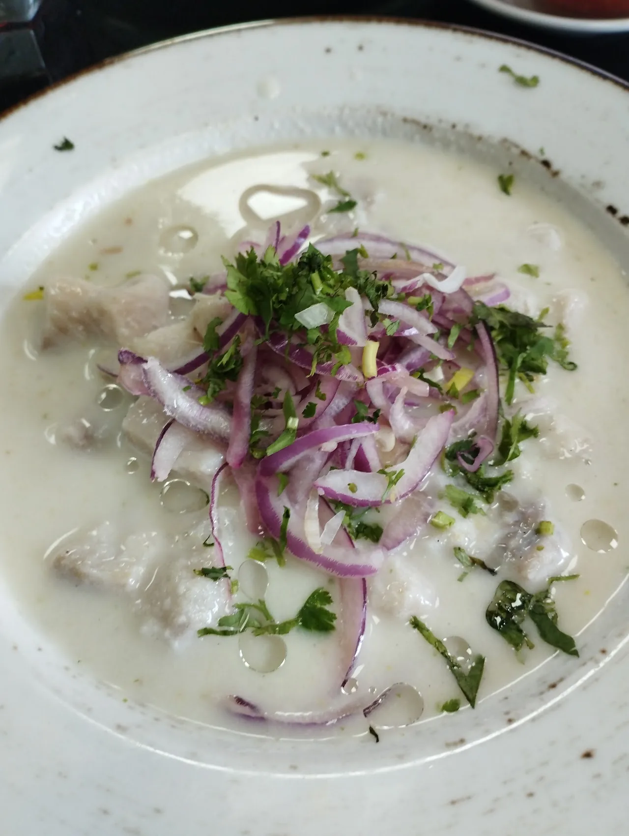 A bowl of encebollado fish soup with red onions and cilantro