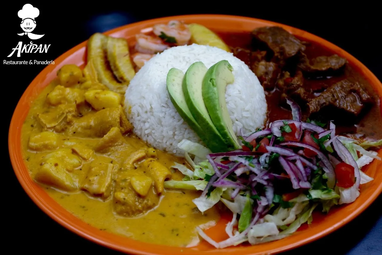 A plate of rice with stewed meat, avocado, and salad
