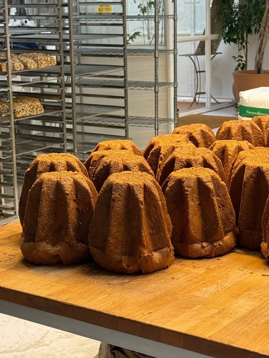 Pandoro, calcetines, bûche de Noël, tazas, imanes y mucho mas cosas muy bonitas en las tiendas ❤️ pero lo mejor: un equi