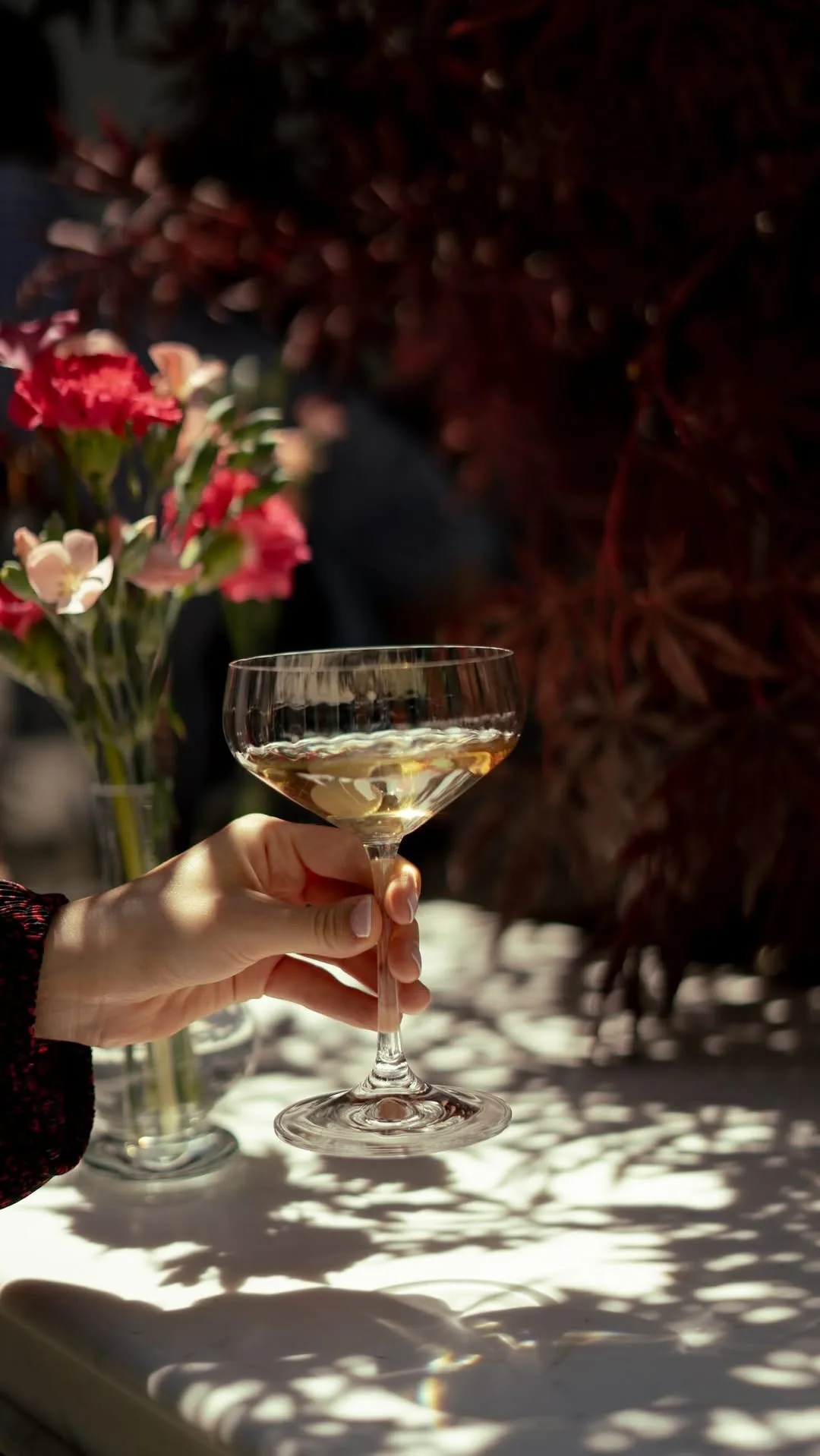 A hand holding a glass of white wine beside pink flowers on a table in dappled sunlight