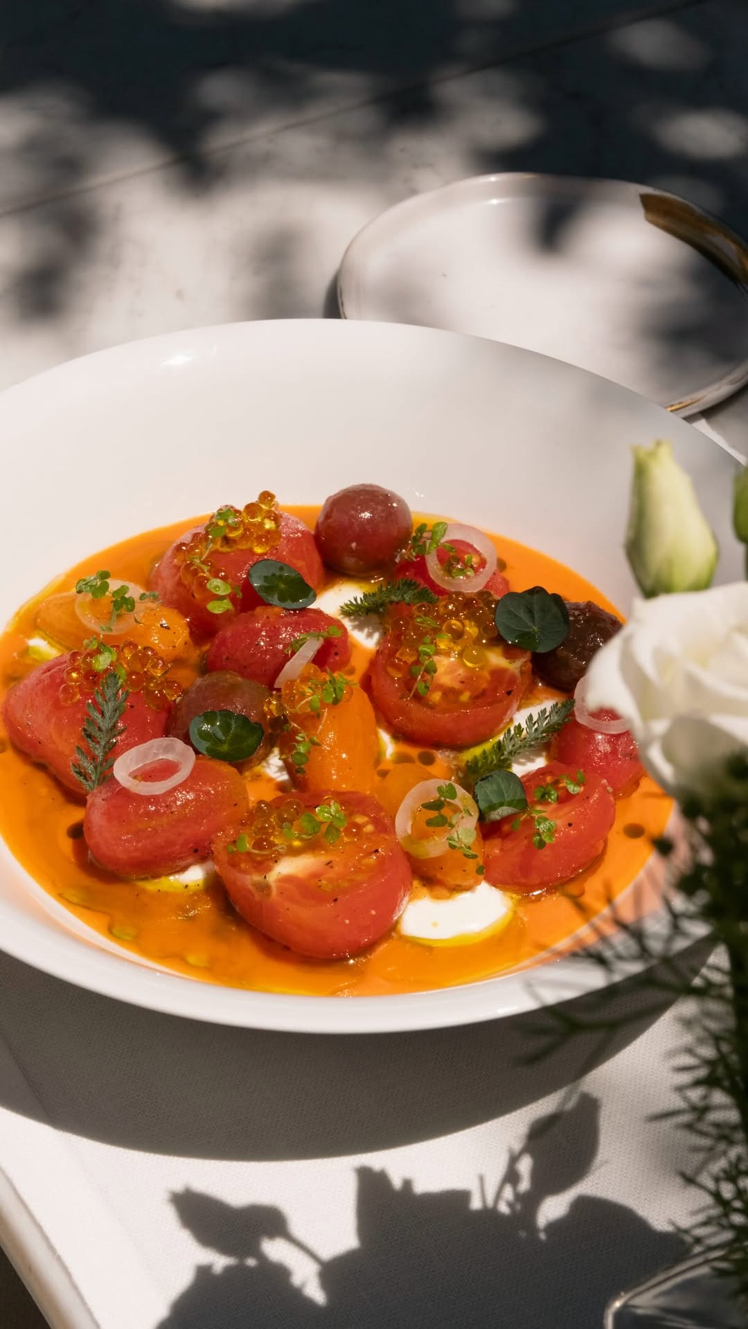 Sabores vibrantes de verano con productos de temporada para refrescarse, como nuestra ensalada especial de tomate prepar