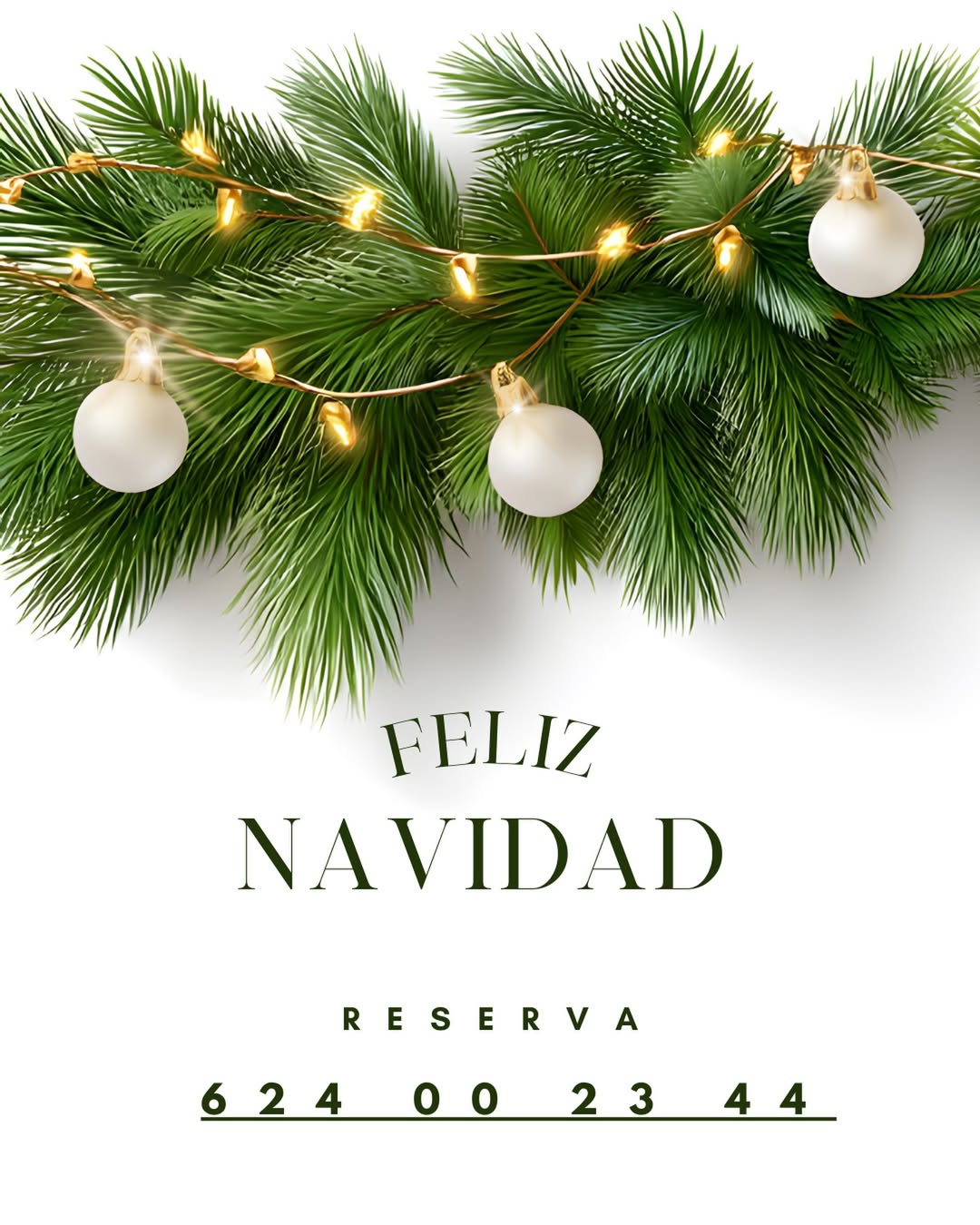 🎄✨ Navidad con sabores del Himalaya ✨🎄

En Restaurante Annapurna Tandoori celebramos la Navidad compartiendo la esencia 