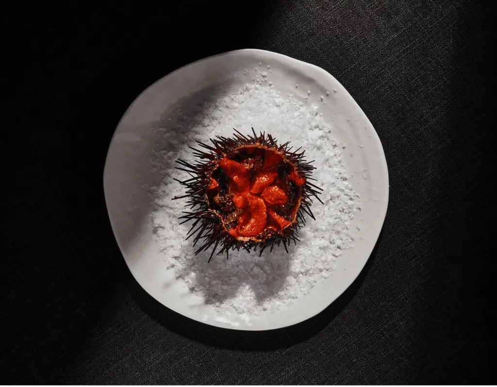 Sea urchin served in its spiny shell with orange roe, plated on a bed of coarse salt on a white ceramic plate, overhead view.