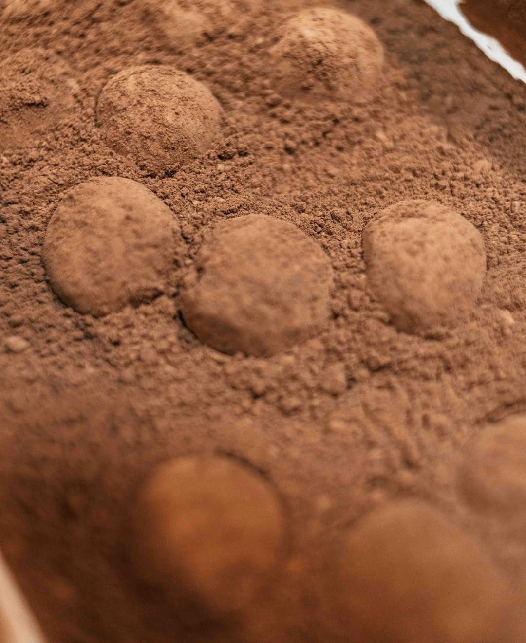 Casi todo en esta casa conecta, de una forma u otra, con los recuerdos de nuestra infancia.
Este postre es un homenaje