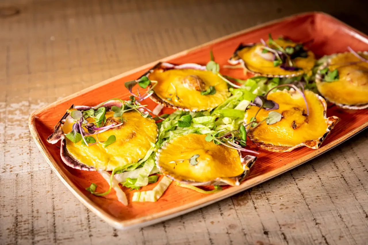 Six scallop shells filled with gratinated seafood under a glossy yellow sauce, topped with micro-cress and set over shredded lettuce on a long terracotta-coloured platter