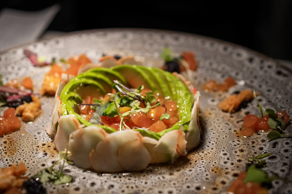 Plated dish of thinly sliced avocado ringed with prawns over diced tuna tartare and microgreens on a speckled grey plate