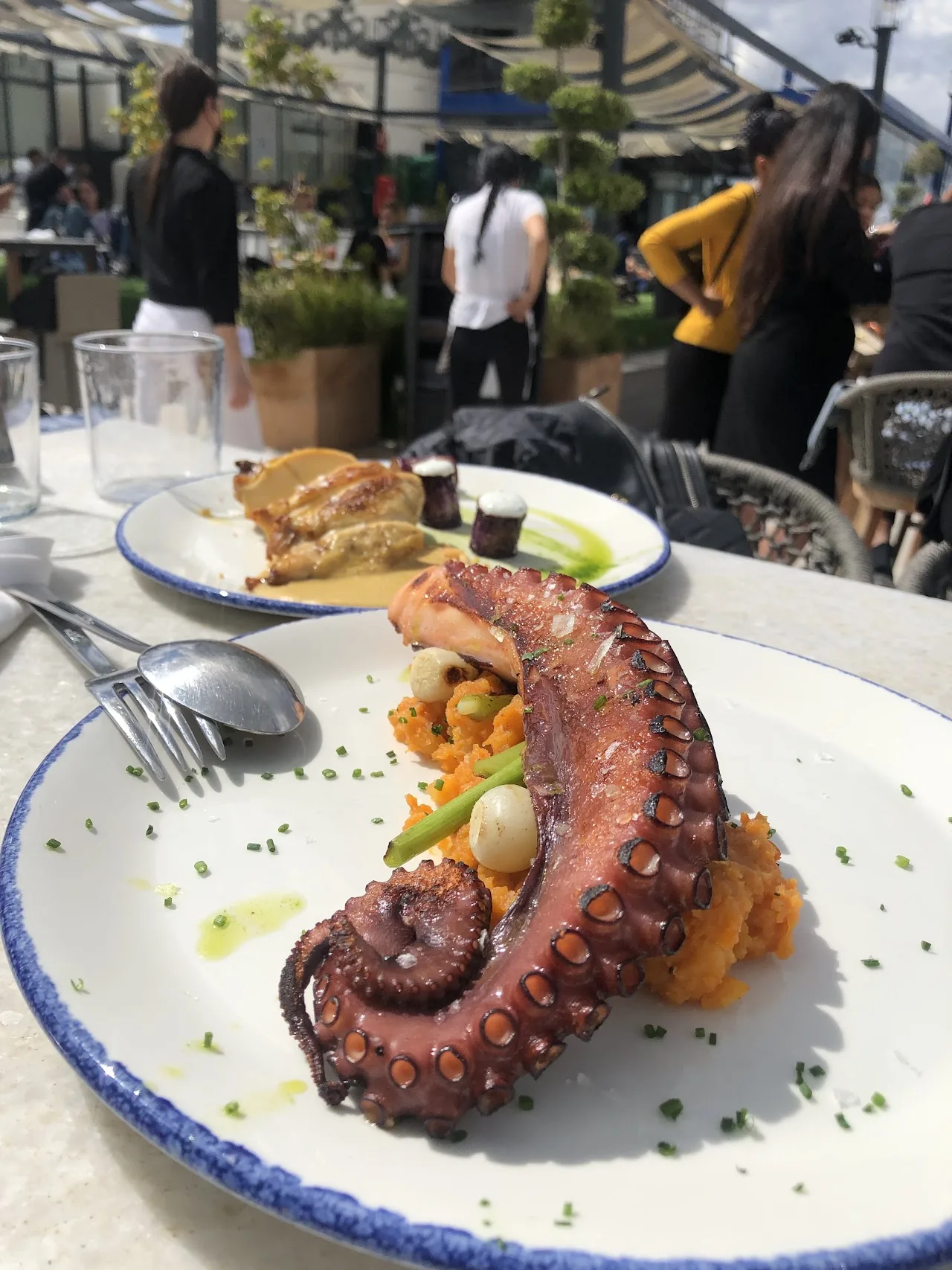 A char-grilled octopus tentacle served over potato with paprika oil