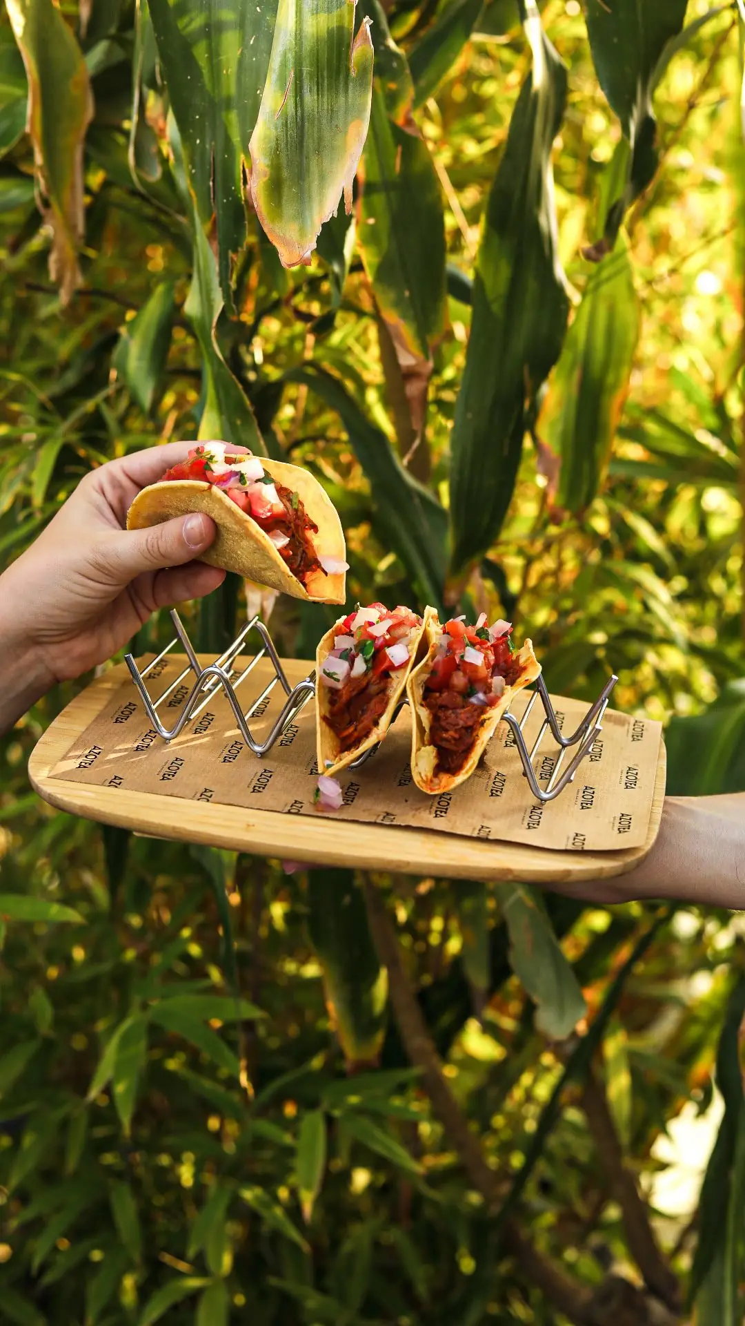A hand holding a taco above a wooden tray with more tacos, in front of greenery