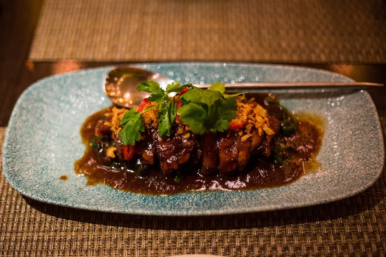 A plate of braised meat in dark sauce with herbs
