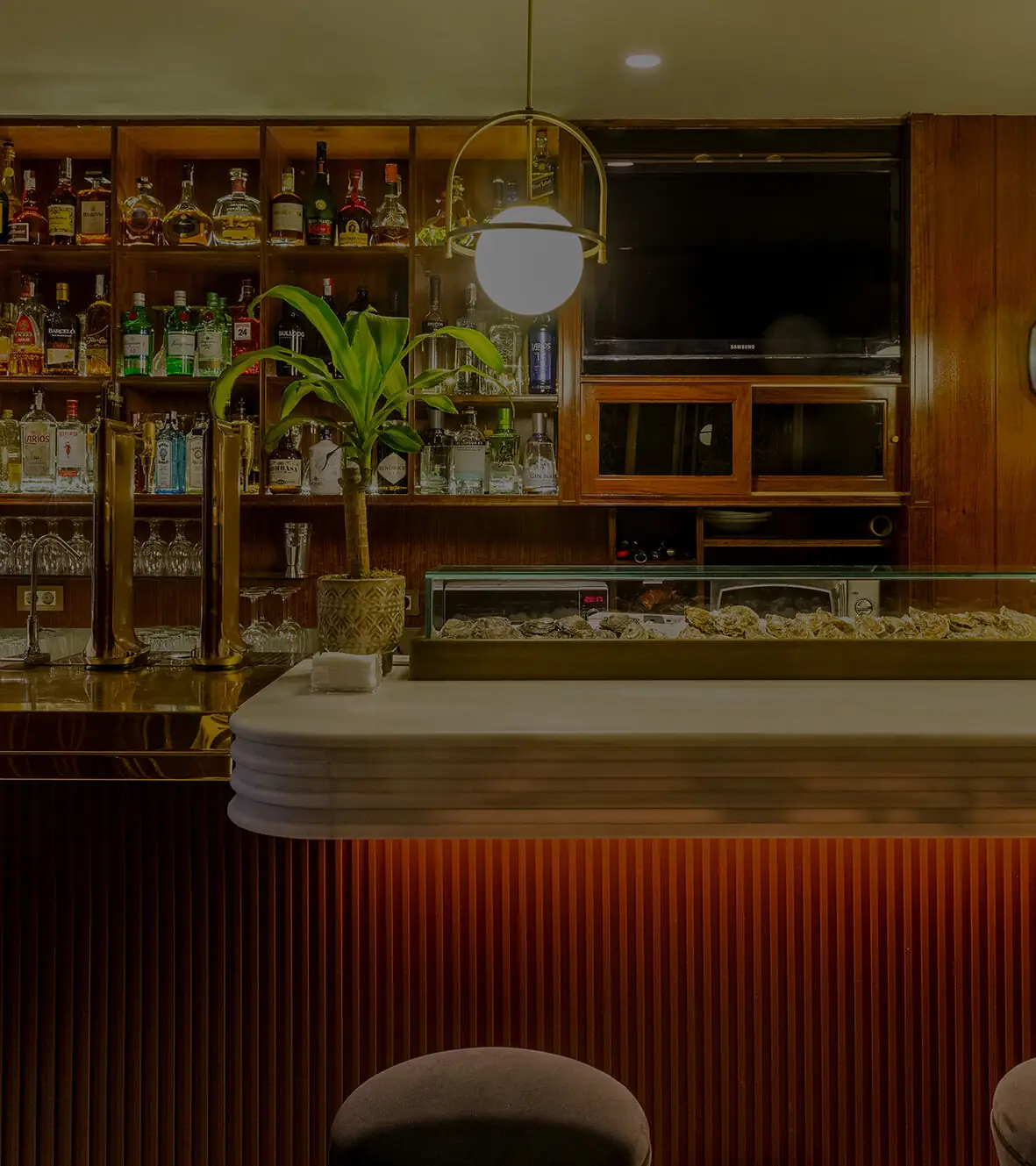 Bar interior with a ridged marble counter, brass beer taps, a potted plant, and a glass display case of oysters on ice below shelves of spirit bottles