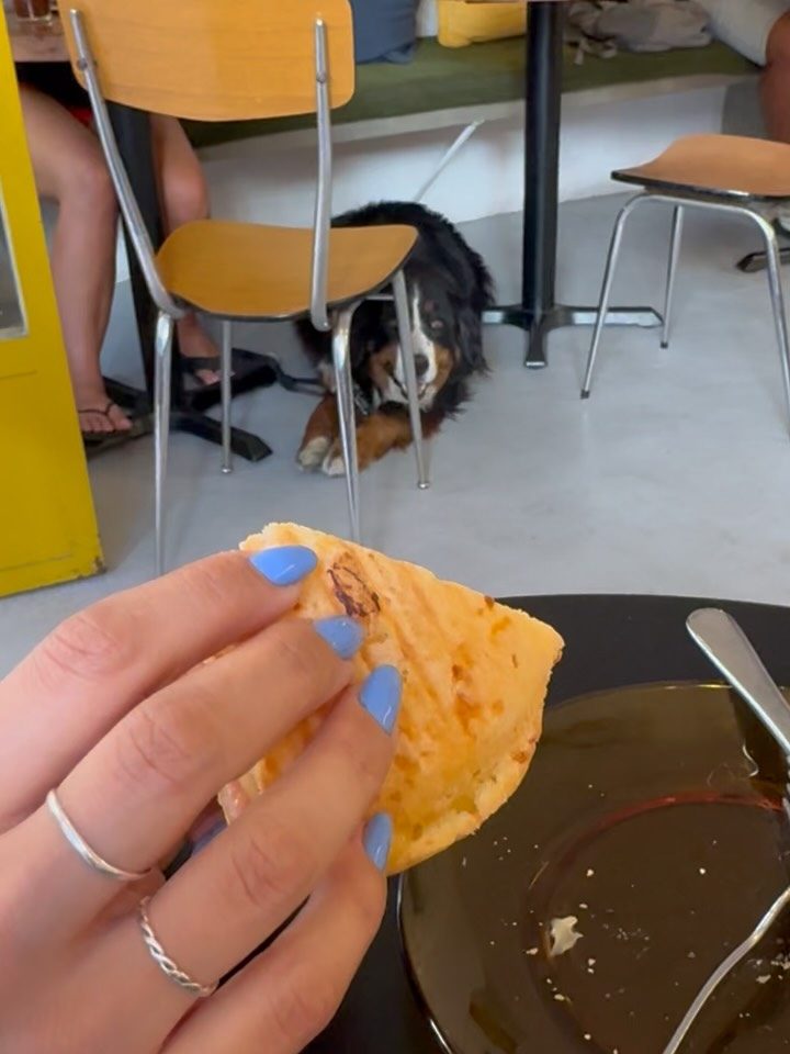 “La obsesión por el chipa es interespecie” y otras yerbas…
 
Una semana más en Santa Casilda.