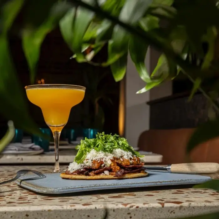 The same tostada and yellow cocktail shot at table level through the leaves of a houseplant, with the dim dining room and banquettes out of focus behind
