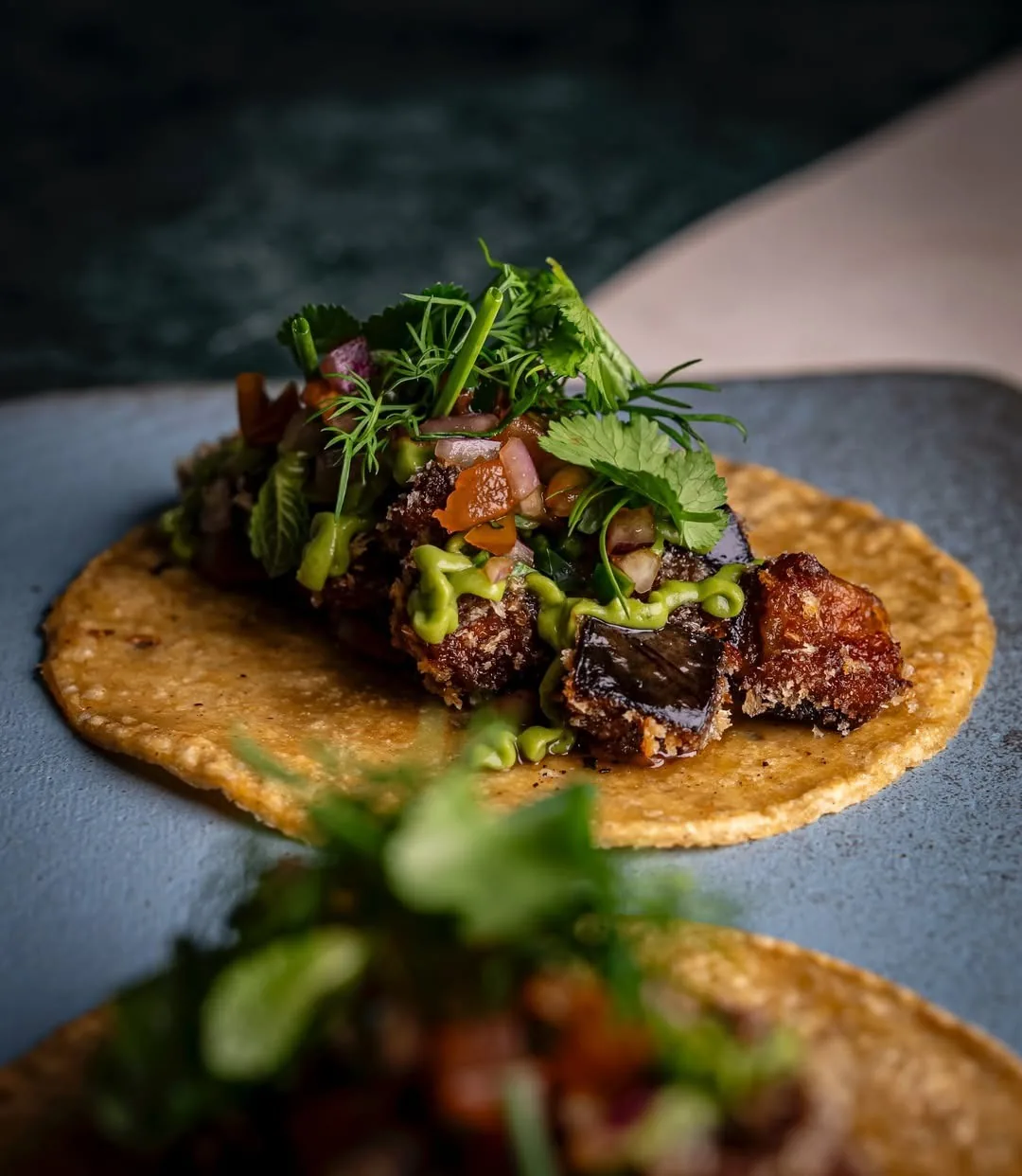 A corn tortilla topped with dark glazed meat and fresh herbs on a blue-grey plate