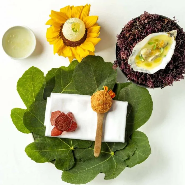 An overhead spread of snacks on white: a pale sphere dusted with green sitting in the centre of a sunflower head, a dressed oyster on its shell in a bowl of pur