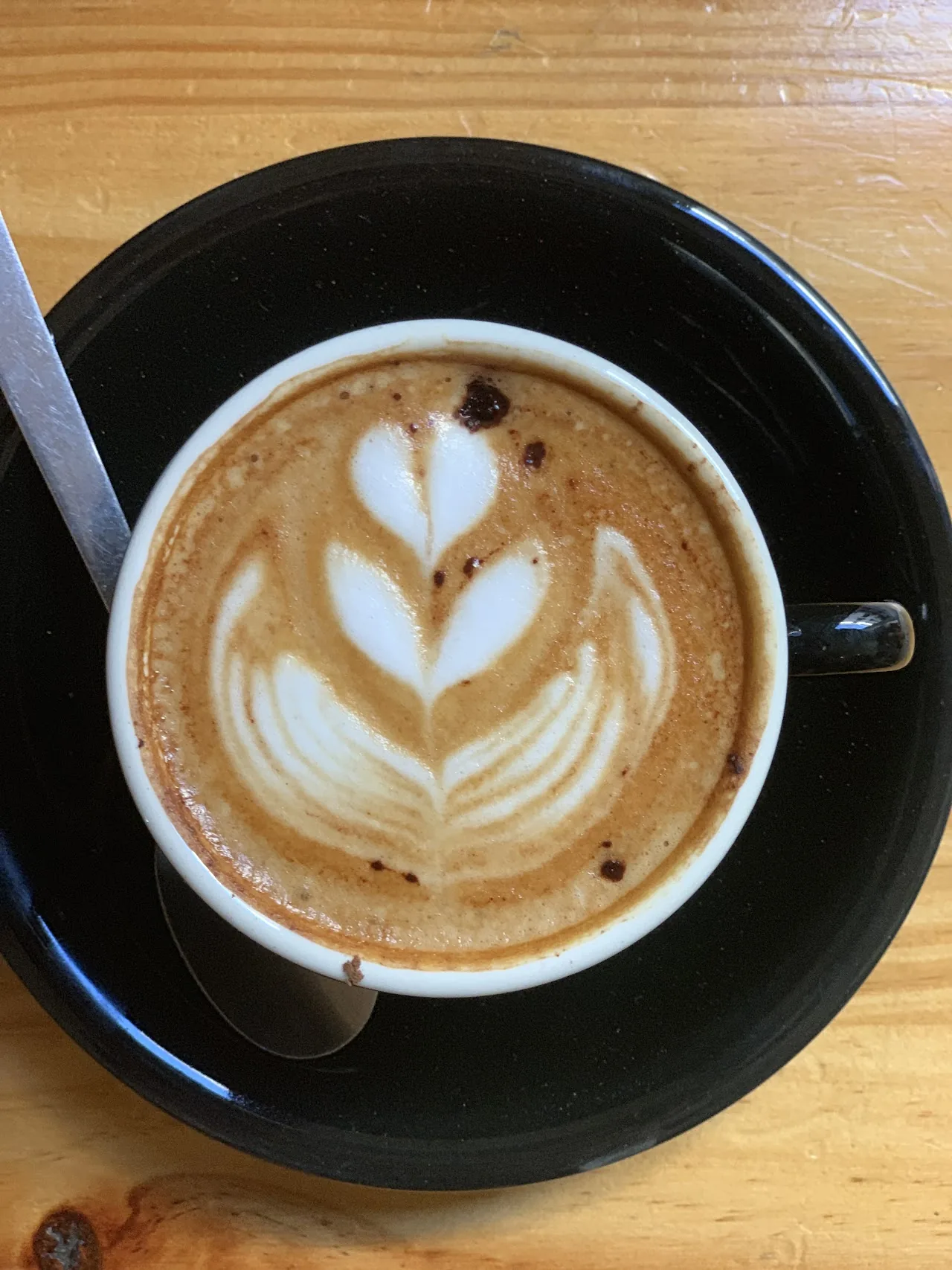 A cappuccino with leaf-pattern latte art in a dark cup