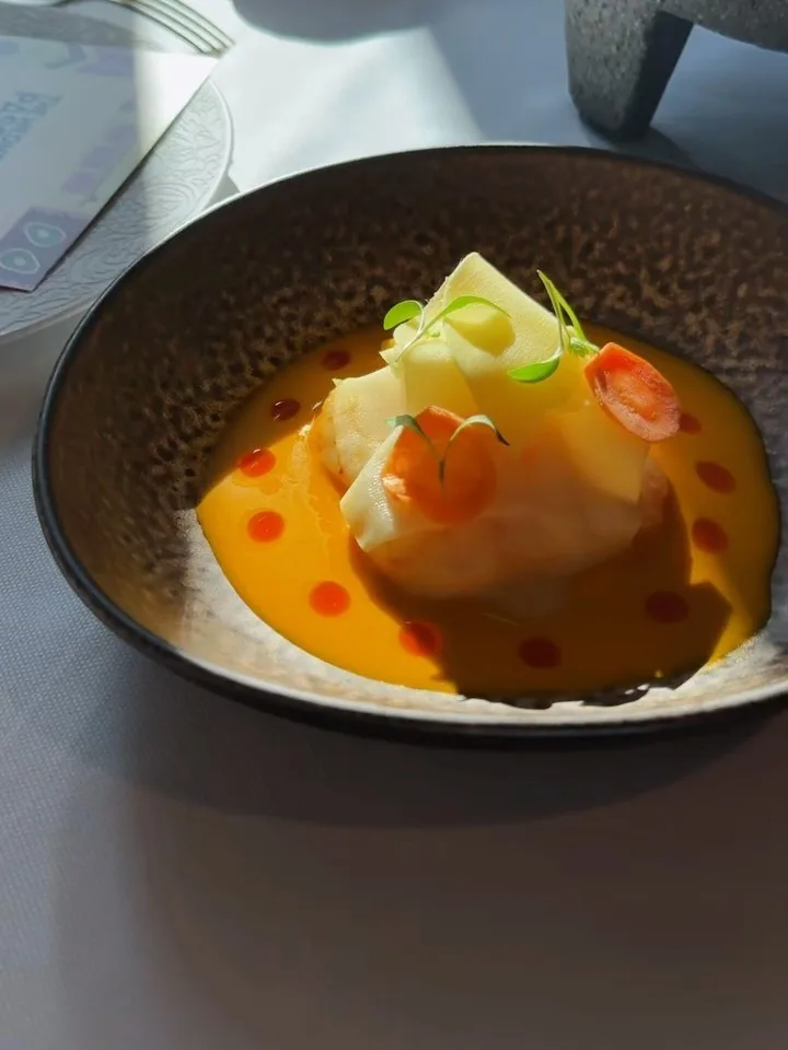 A dark bowl of food in an orange-red sauce with a pale piece on top
