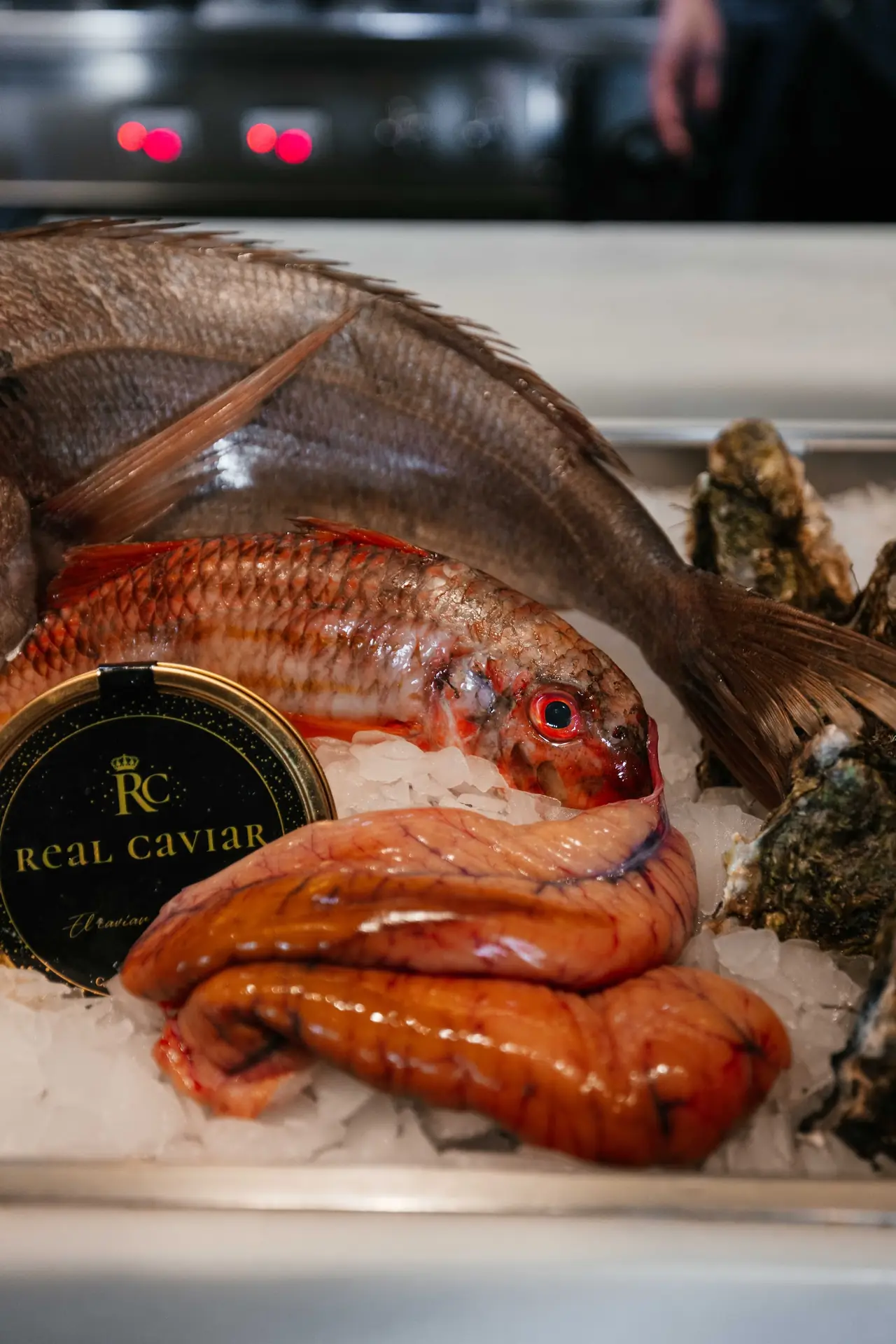 Whole red fish, oysters and seafood displayed on ice with a caviar tin