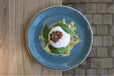 A ball of burrata cheese with a rustic tomato and herb sauce on a blue plate