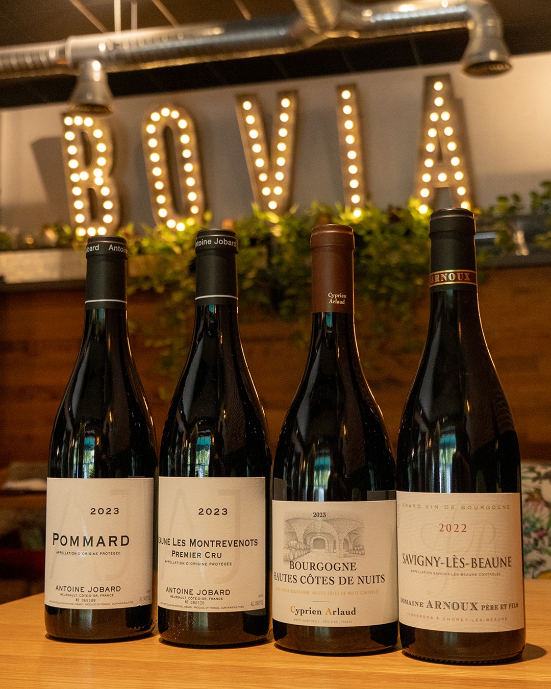 Borgoña en cuatro botellas.
Cuatro vinos, una misma uva: Pinot Noir.
Y una región donde el viñedo, el suelo y el origen