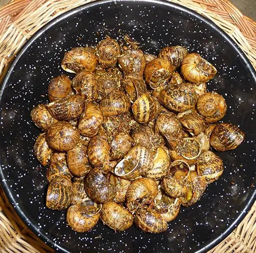A black bowl heaped with roasted snails in their shells, seasoned with herbs, served on a woven wicker mat, Ca l'Estevet