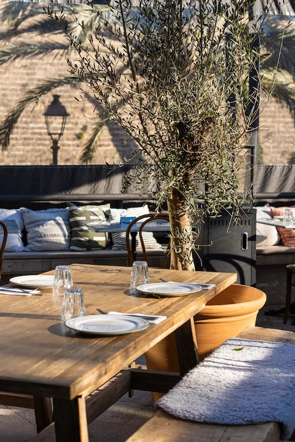 A long terrace table set under an olive tree at Café Poupette