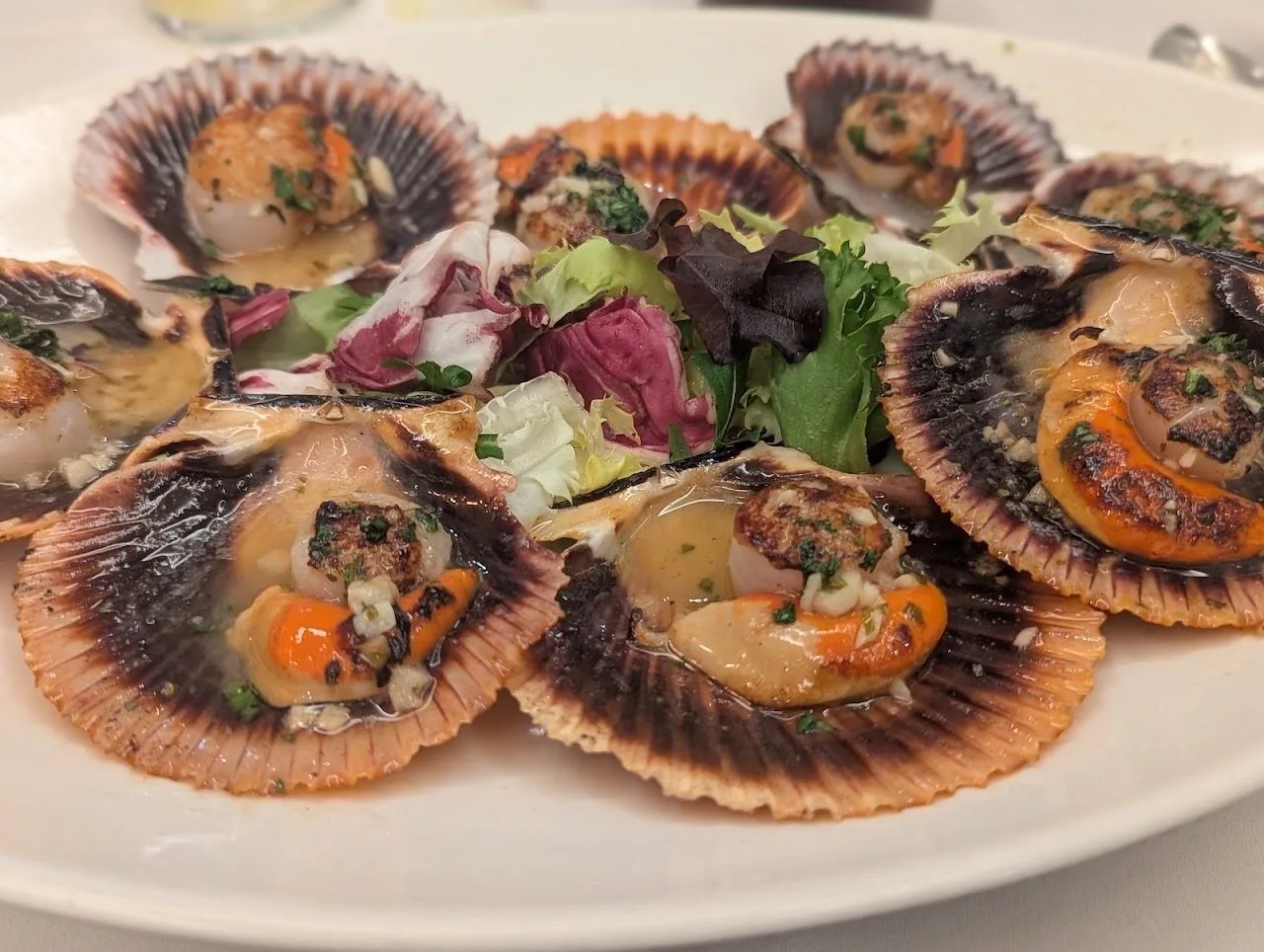 Scallops in their shells on a white plate with salad leaves