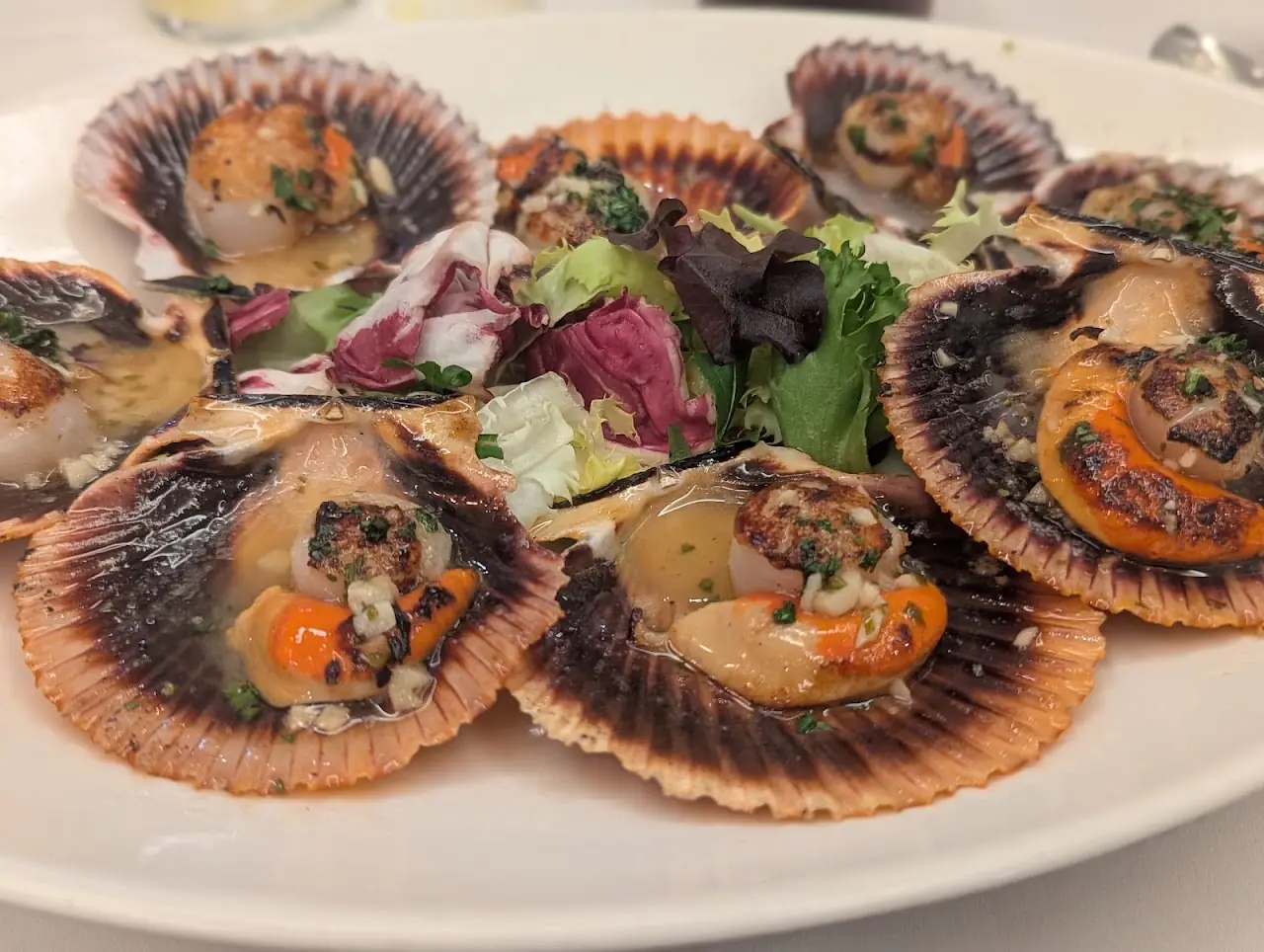 Grilled scallops in their shells with a mixed green salad.