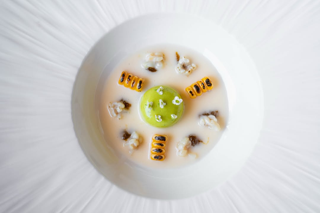 Dos tierras, una misma mesa.
La experiencia mexiterránea de Can Simoneta Gastronomic.
Reserva tu experiencia.

𝗥𝗘𝗦𝗘𝗥𝗩𝗔 𝗧