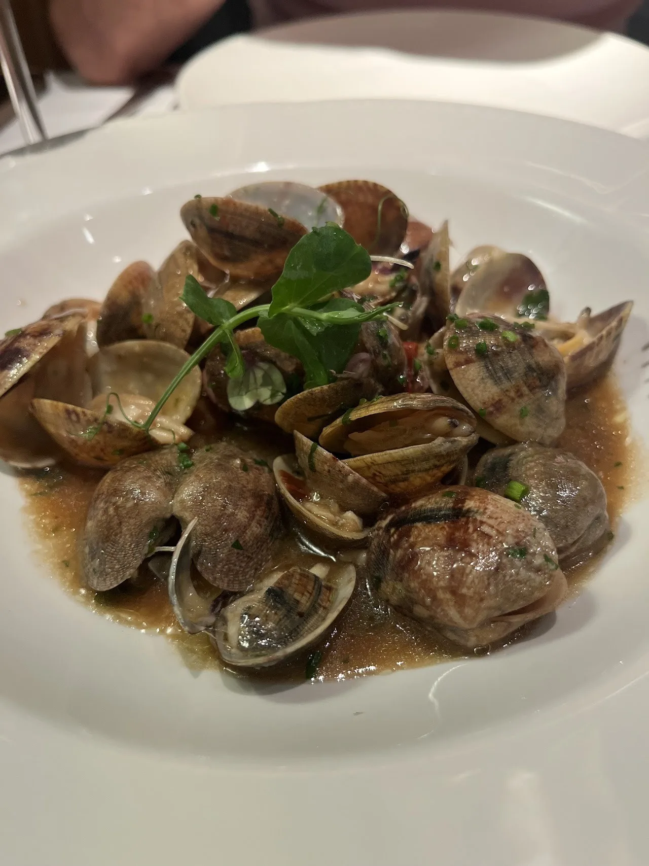 Clams in sauce with a herb sprig on a plate