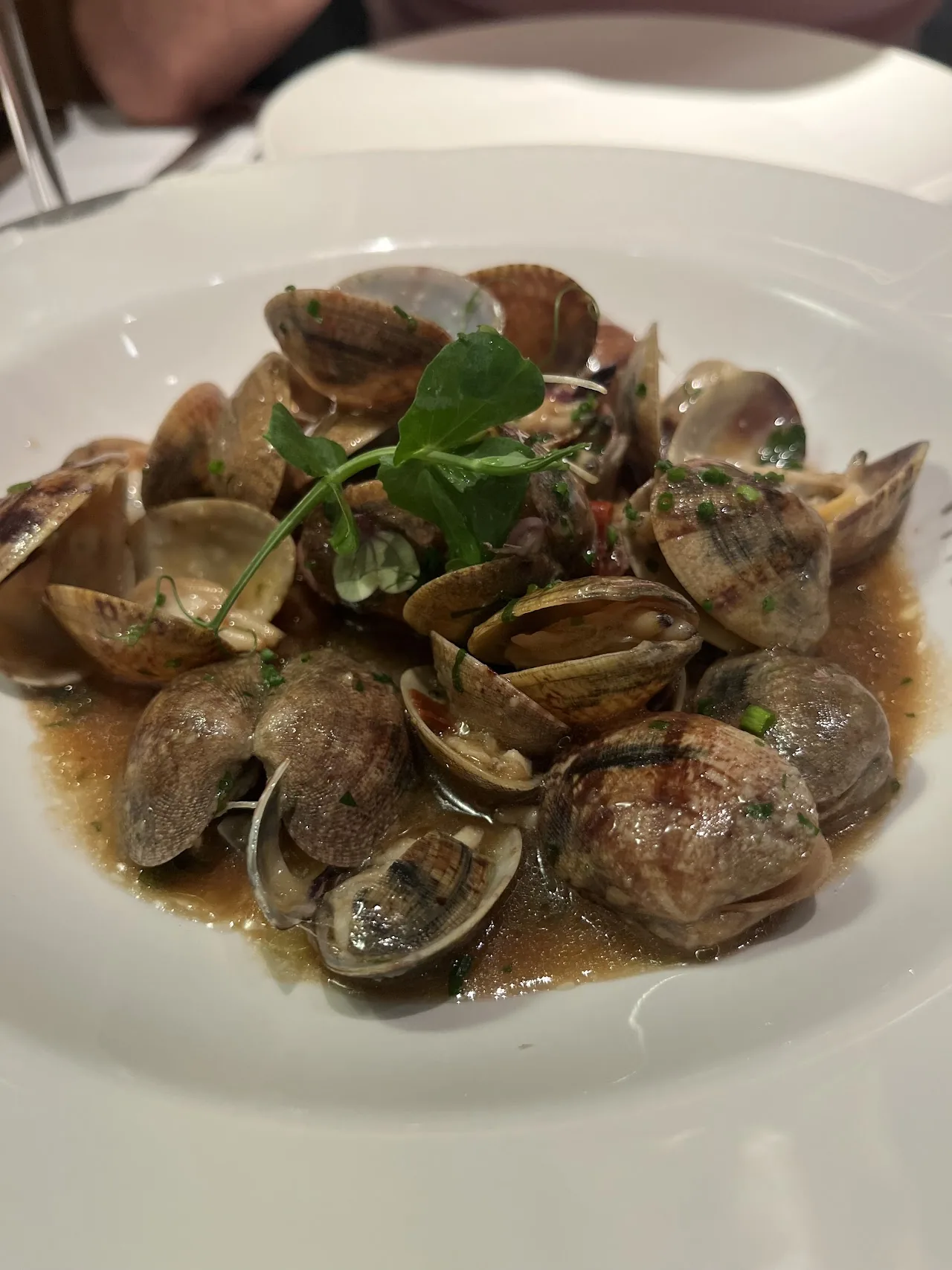 A plate of clams in a garlic and herb sauce