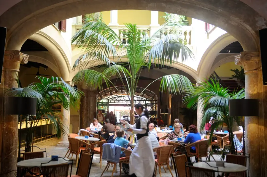 The planted courtyard with palms and tables at the Sant Miquel café