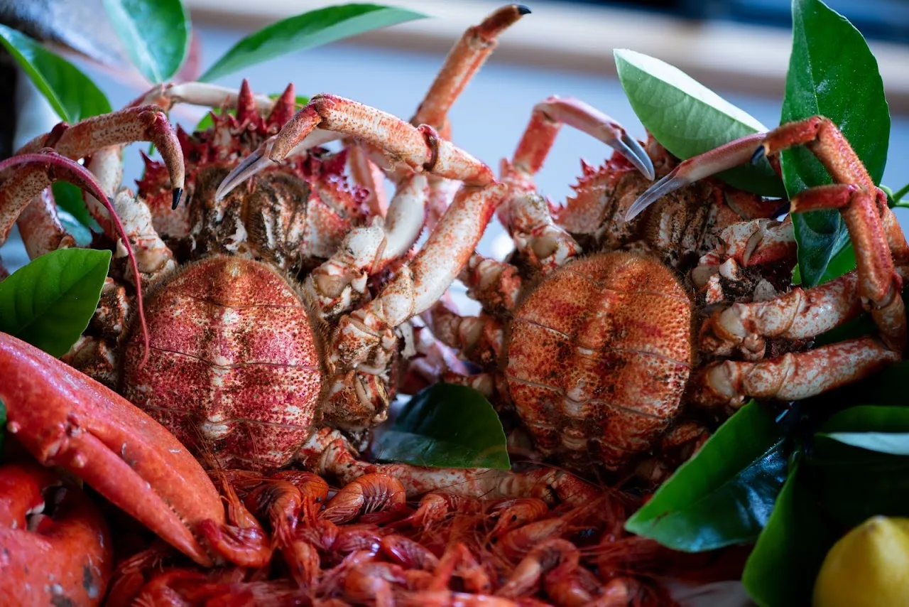 Two whole cooked spider crabs garnished with citrus leaves