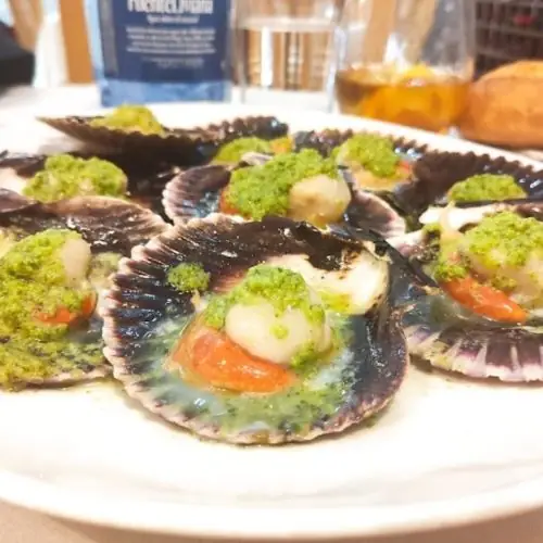 Grilled scallops served in their shells topped with green herb sauce on a white plate