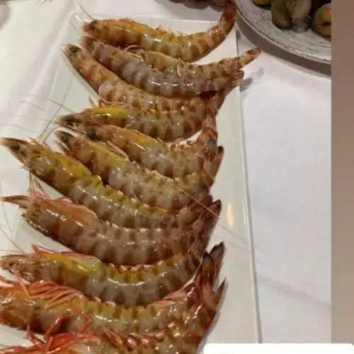 Row of raw whole langoustines lined up on a white rectangular plate on a set table