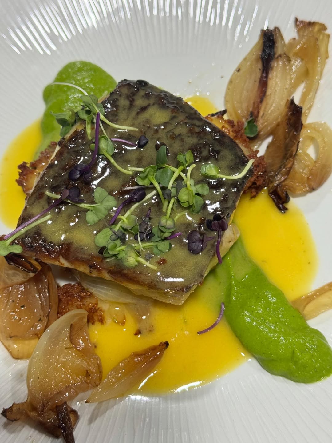 #corvina