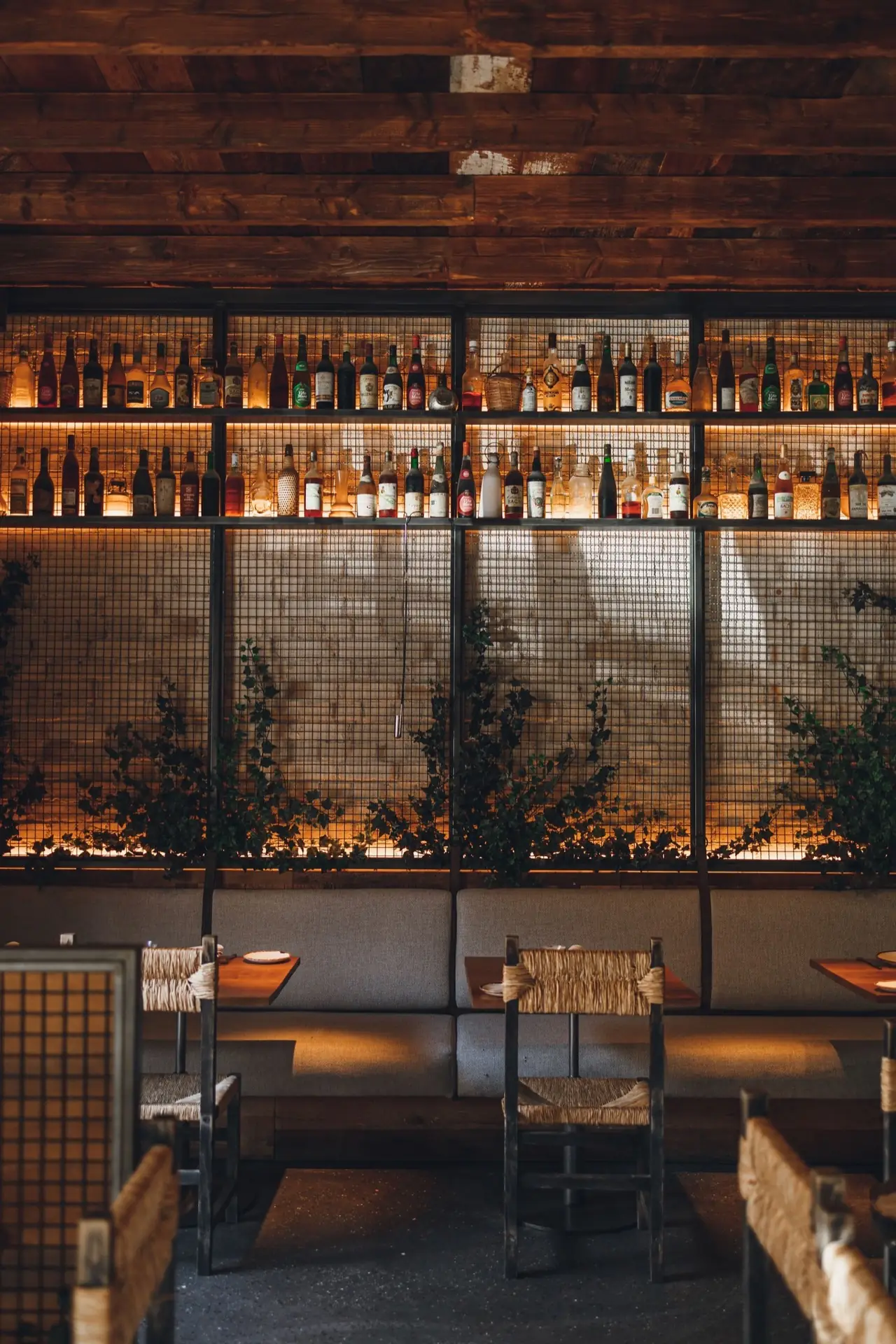 Dining room with rush-seat chairs and banquette, wooden tables set with plates, backed by a backlit wall of vintage bottles and trailing ivy under a wood-plank ceiling