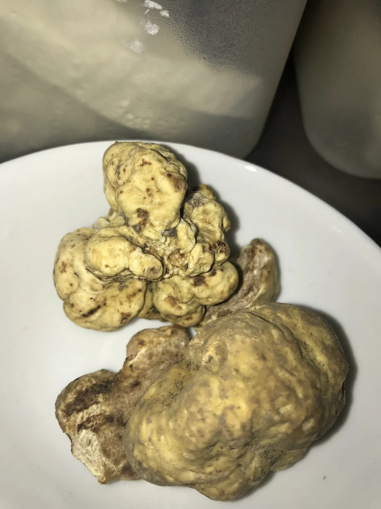 Two whole fresh black truffles on a plate