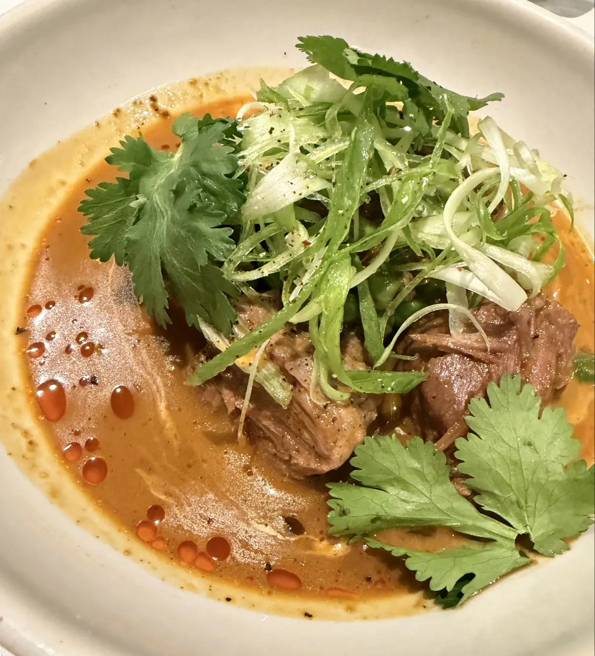 Braised meat in a spiced broth topped with cilantro and shaved scallion