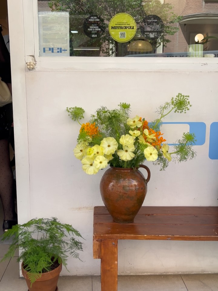 Casa pei+ y sus flores 🌼