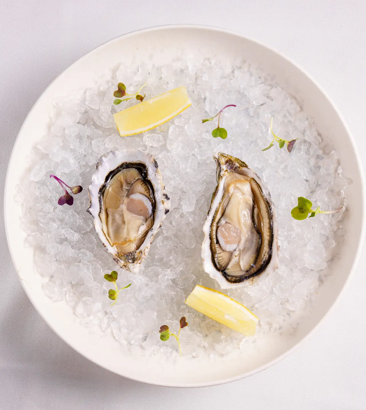 Two opened oysters on crushed ice in a white bowl with lemon wedges and scattered micro-leaves.