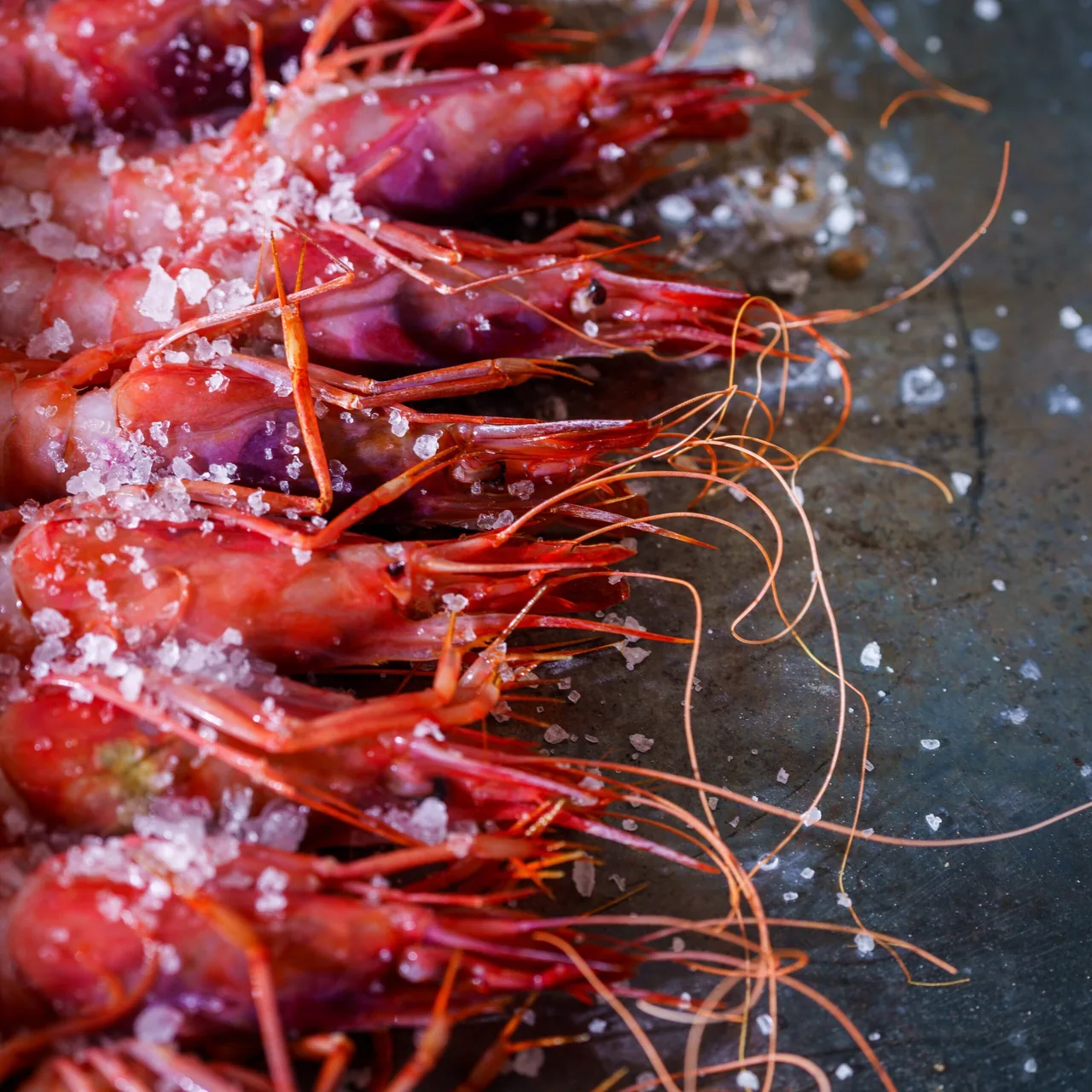 Red prawns sprinkled with coarse salt