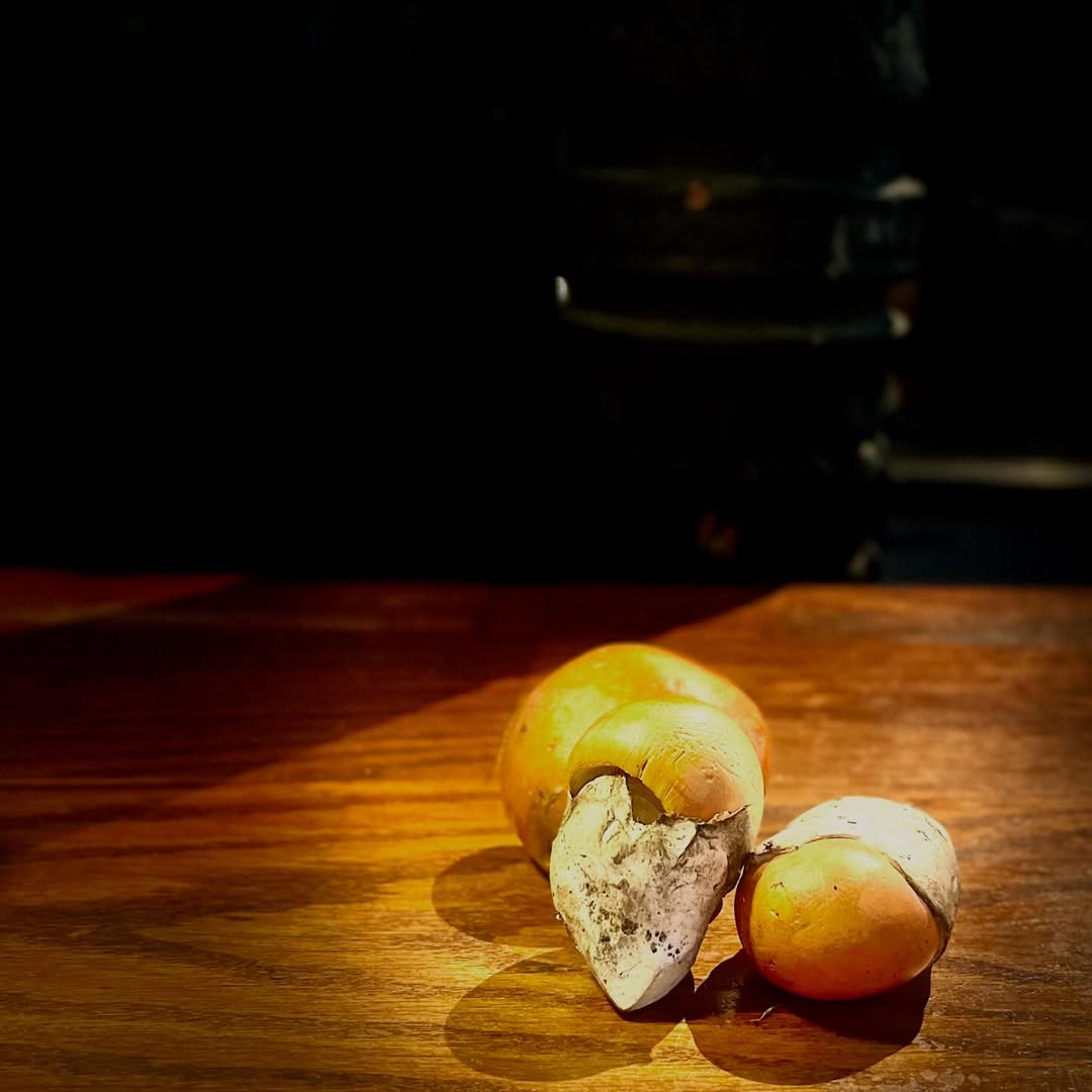 Amanita Caesarea nacional

#labuenavida25años #amanitacaesarea #restaurantedetemporada #salesas #restaurantemadrid