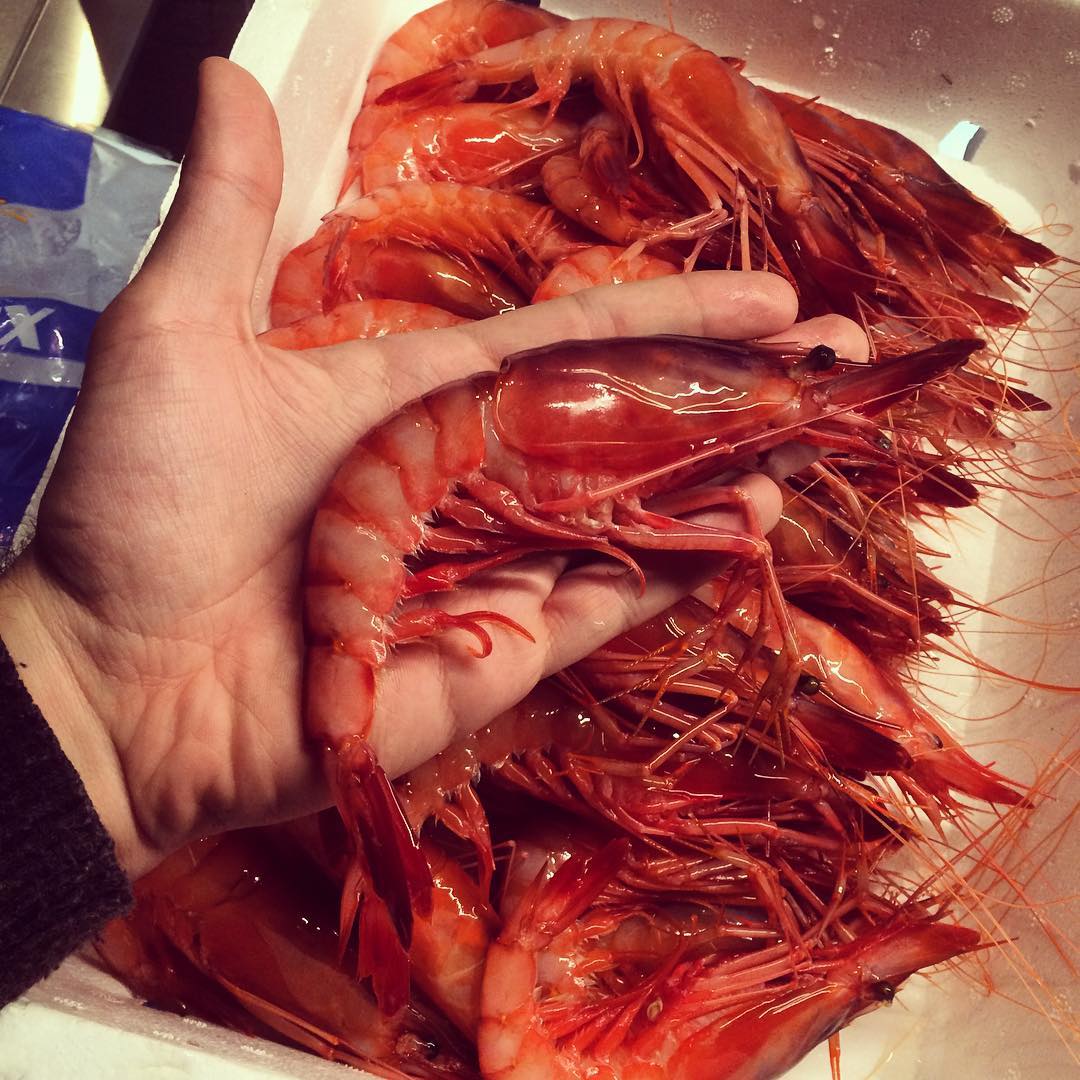 Gamba roja de #roses @estimarzafra #bcn #gamba #fresh #catchoftheday #productazo #latergram @rafazafra_