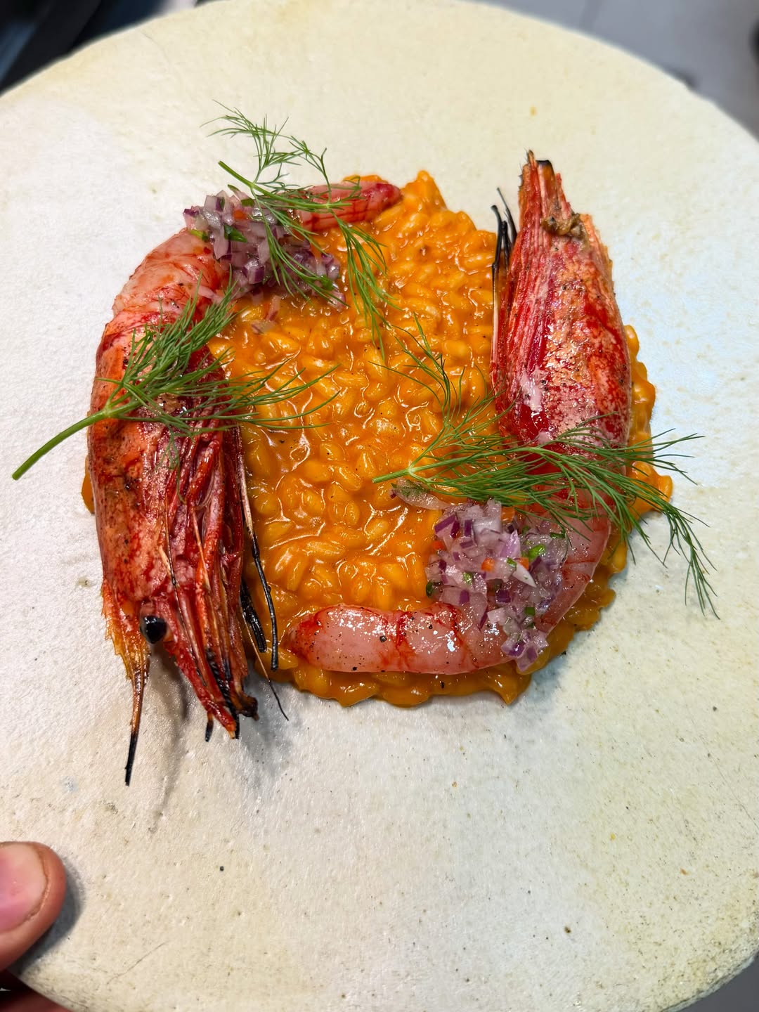 Algunos especiales de la semana pasada 🔥 

Mañana martes se vienen muchas cosas nuevas 🦐🦐