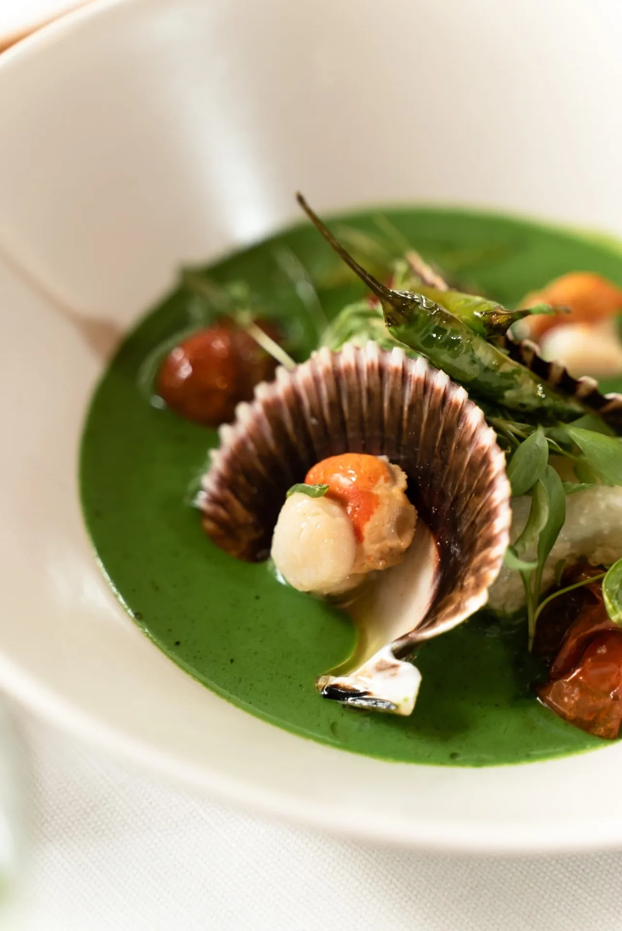 A scallop shell served in a bright green sauce on a white tablecloth